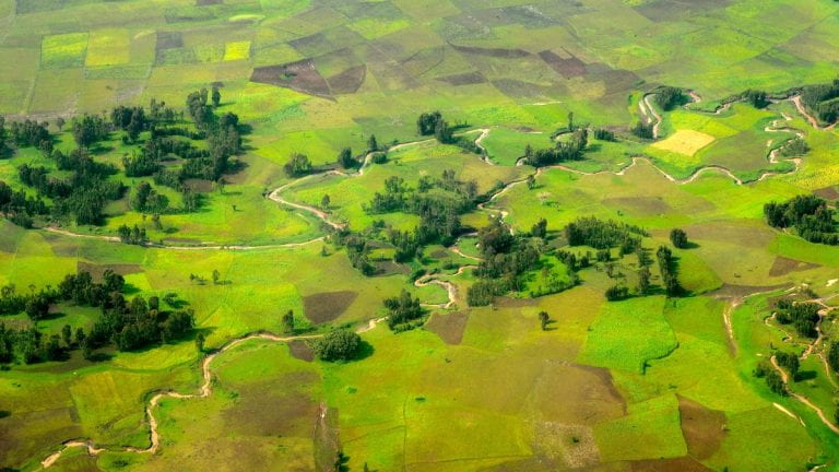 Aerial image of agriculture fields in Ethiopia