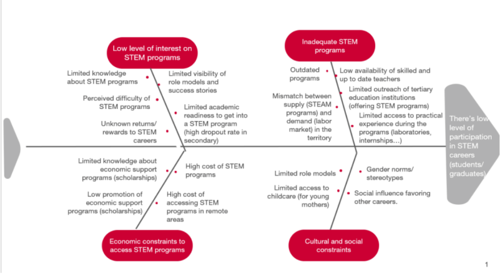 Fishbone diagram showing causes and sub-causes for low participation in STEM Careers in the Dominican Republic