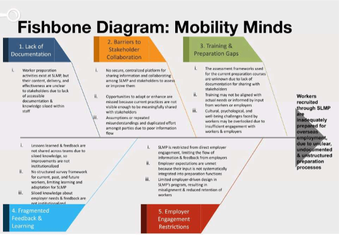 Fishbone diagram for team mobility minds