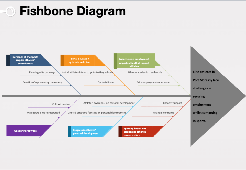 Team Mobility Minds' fishbone diagram.