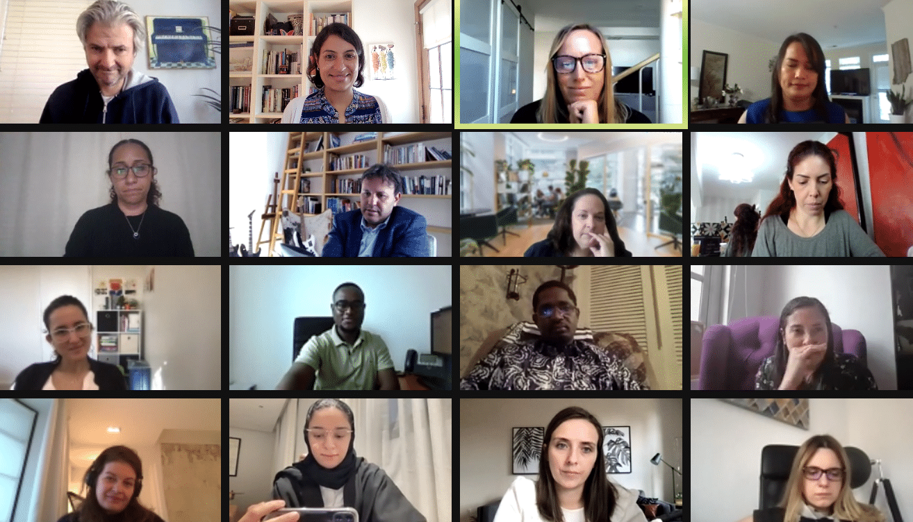 IPP 2021 participants on zoom with Matt Andrews and Salimah Samji