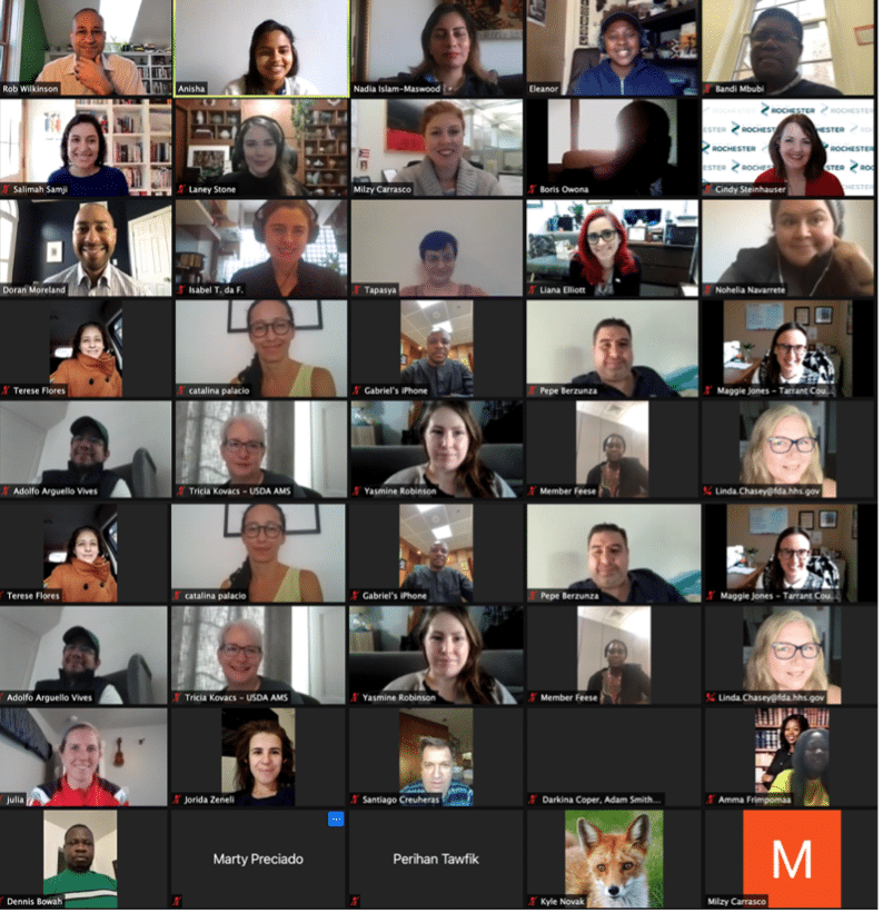 IPP Community of Practice members with Rob Wilkinson on zoom.