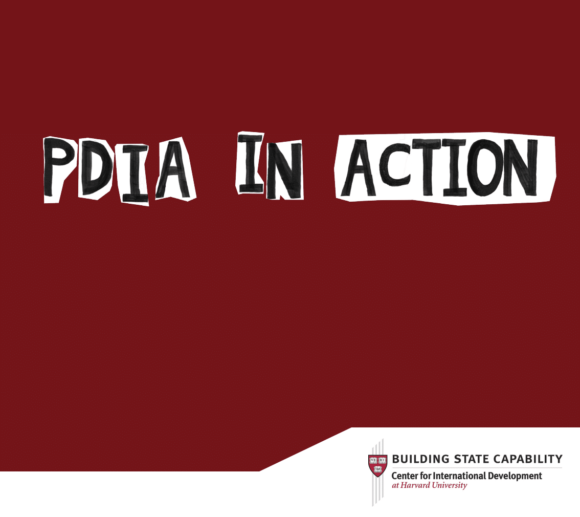 Cover page of the PDIA in Action book with a crimson red background and BSC's logo at the bottom