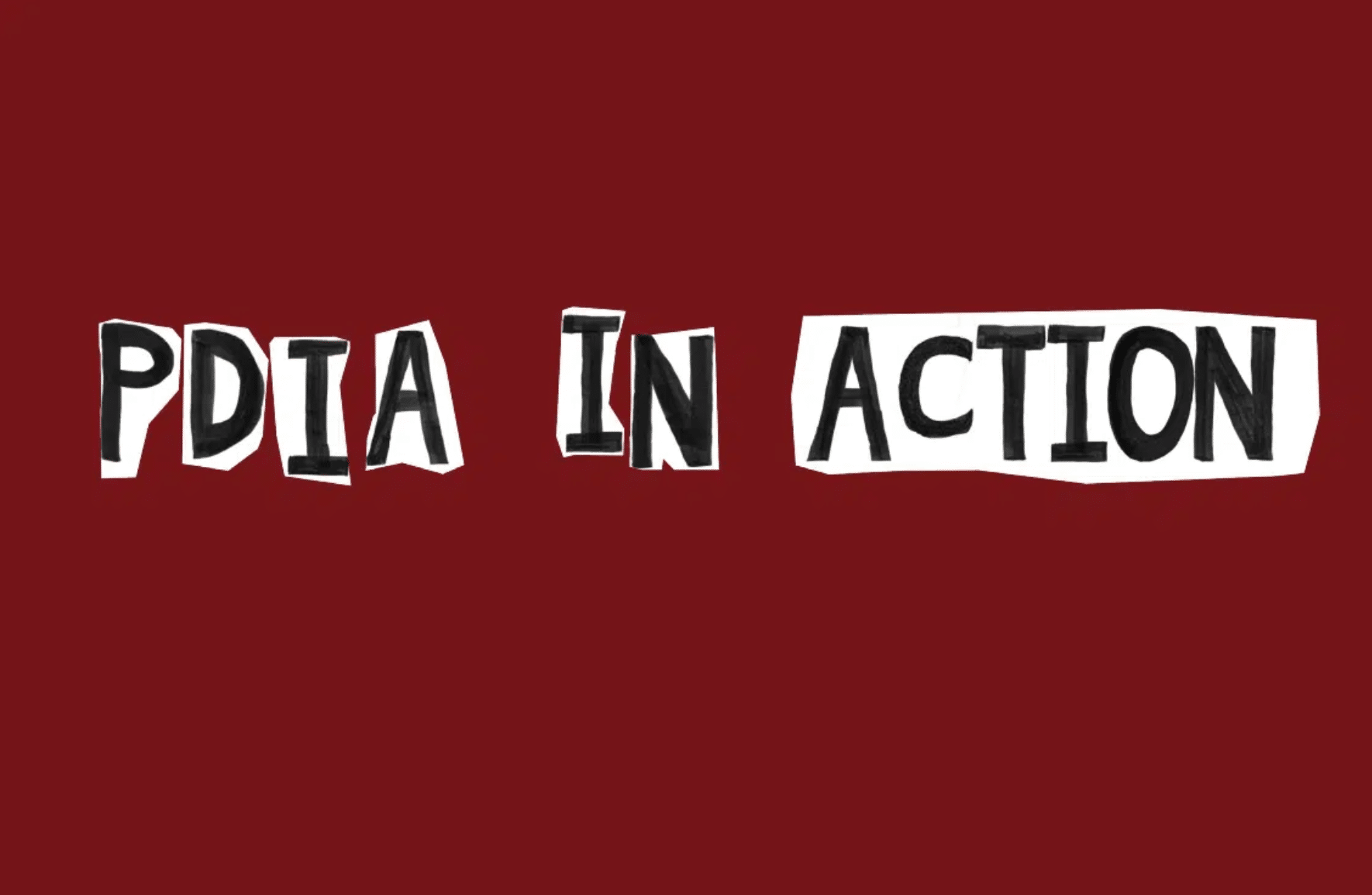 PDIA in Action book cover image with red background