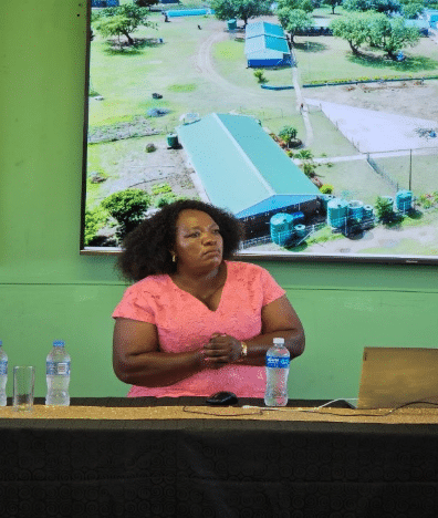 the Principal of Nkomo Special School briefing the Portfolio Committee and other stakeholders on the work undertaken